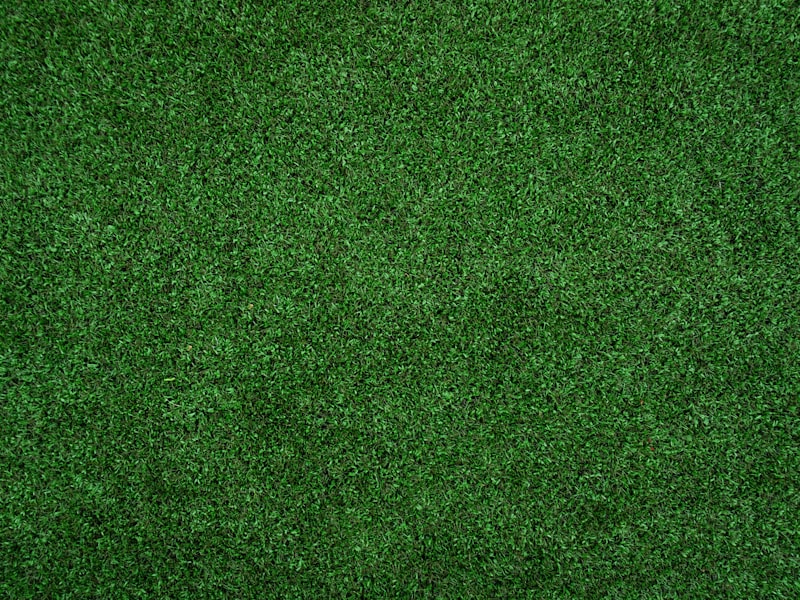 Pasto sintético y follaje artificial